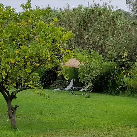 Quinta Do Benjamim - Tejo 