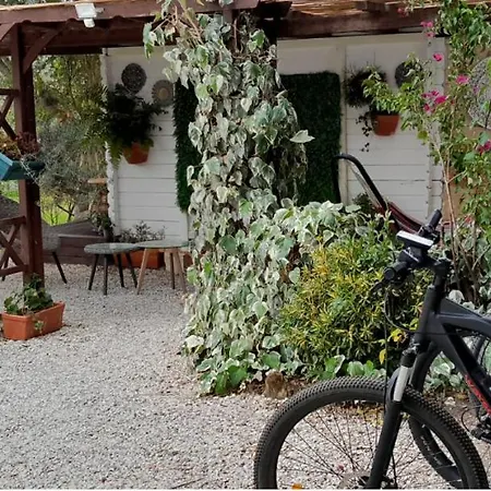 Quinta Do Benjamim - Tejo 