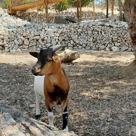 Quinta Do Benjamim - Tejo 