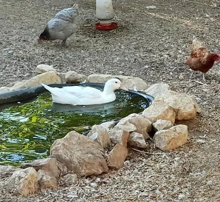 Quinta Do Benjamim - Tejo 