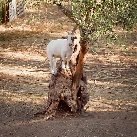 Prázdninový dům Quinta Do Benjamim - Tejo 