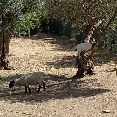 Quinta Do Benjamim - Tejo 