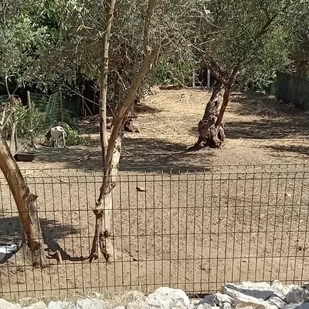 Quinta Do Benjamim - Tejo 