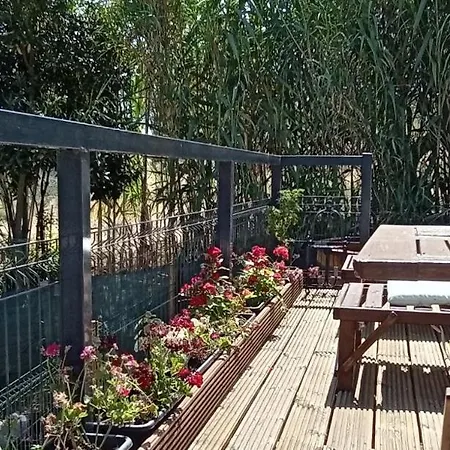 Quinta Do Benjamim - Tejo 