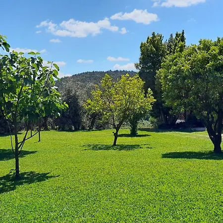 Quinta Do Benjamim - Tejo 