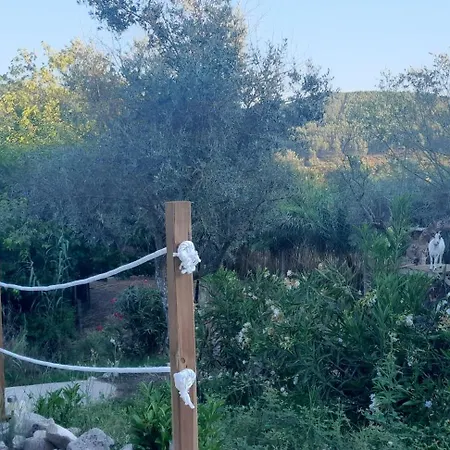 펜션 Quinta Do Benjamim - Tejo 