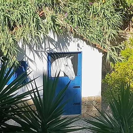 Quinta Do Benjamim - Tejo 