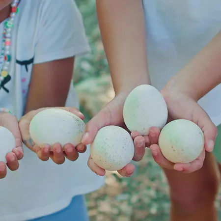 Quinta Do Benjamim - Tejo 