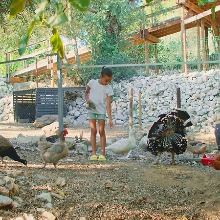 Prázdninový dům Quinta Do Benjamim - Tejo 