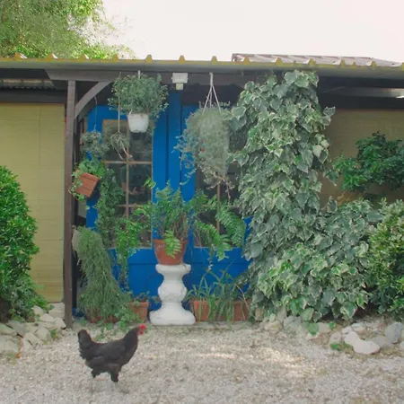 Quinta Do Benjamim - Tejo 