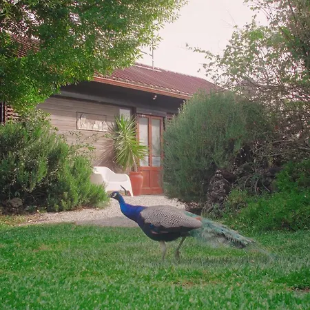 Quinta Do Benjamim - Tejo 