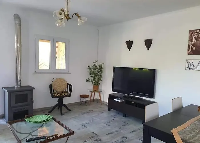 Ferienhaus Quinta Do Benjamim - Tejo 