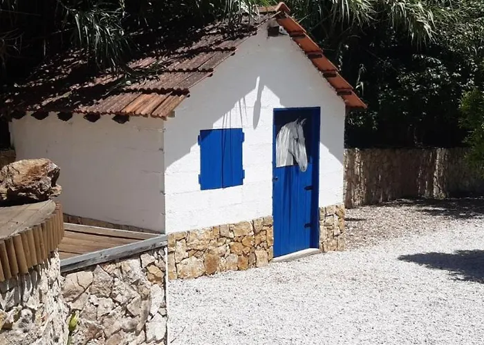 Quinta Do Benjamim - Tejo 