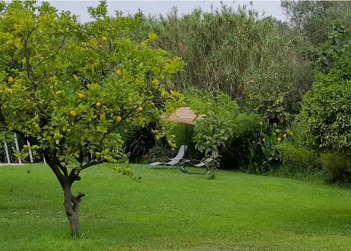 Quinta Do Benjamim - Tejo 