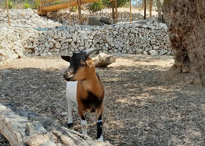 Quinta Do Benjamim - Tejo 