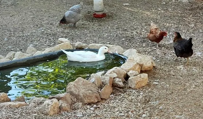Quinta Do Benjamim - Tejo 
