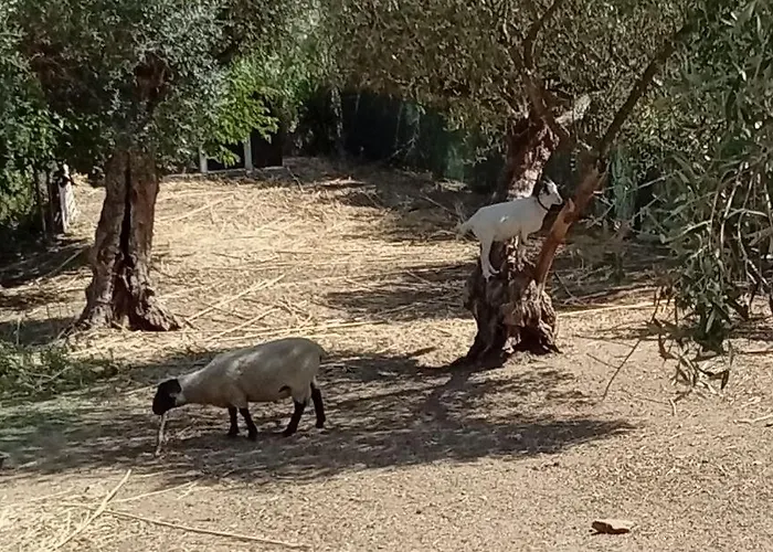 Quinta Do Benjamim - Tejo 