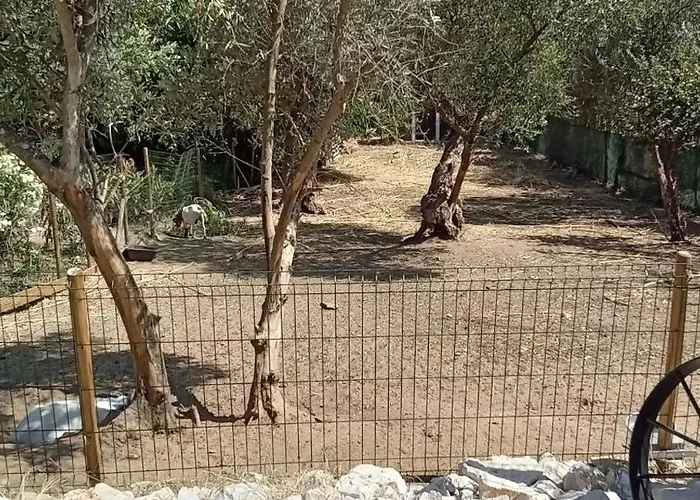 Quinta Do Benjamim - Tejo 