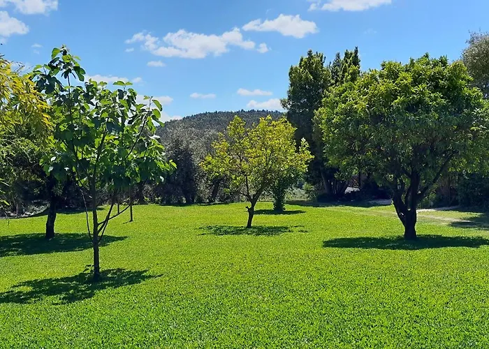 Quinta Do Benjamim - Tejo 