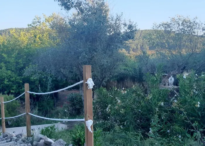 Ferienhaus Quinta Do Benjamim - Tejo 