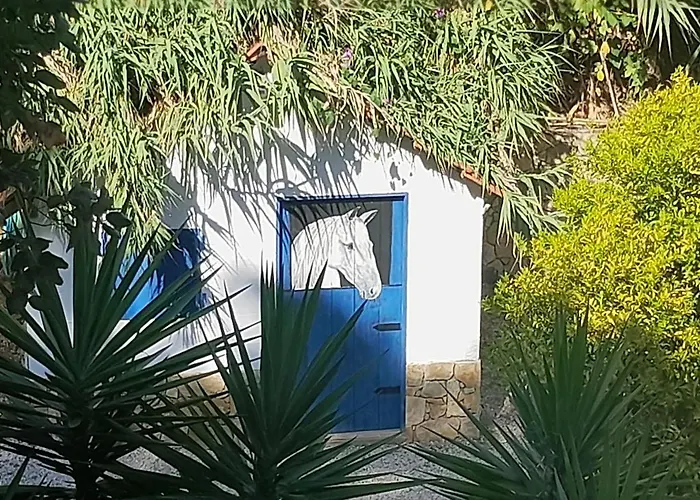 Quinta Do Benjamim - Tejo 