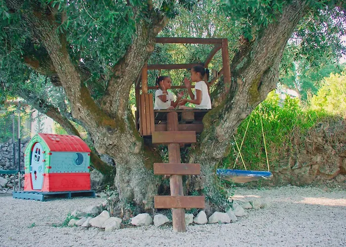 Quinta Do Benjamim - Tejo 